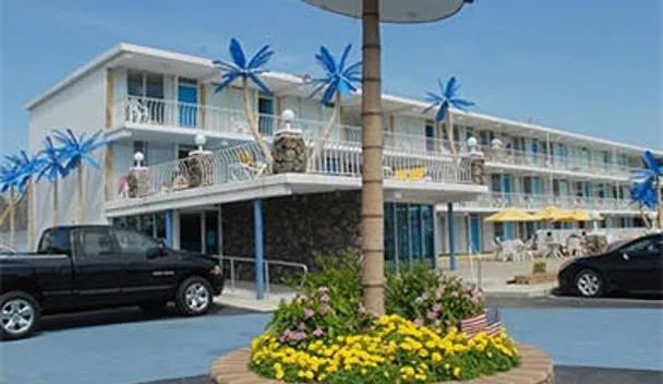 Blue Palms